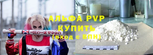 стаф Бородино