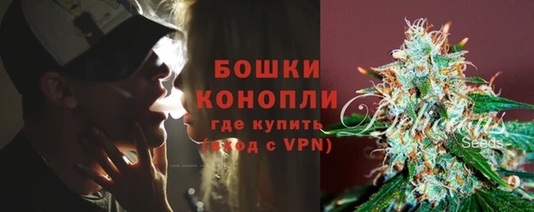 сатива Бронницы