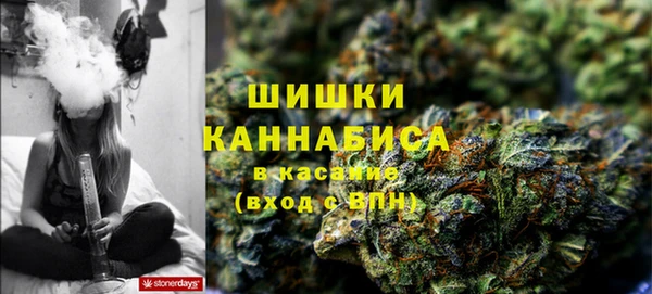 сатива Бронницы