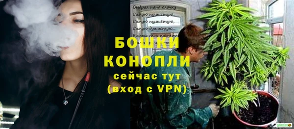 сатива Бронницы