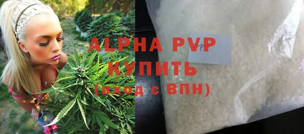 стаф Бородино
