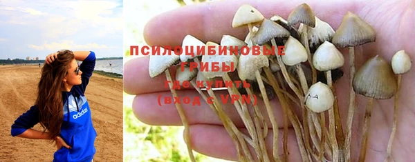 сатива Бронницы