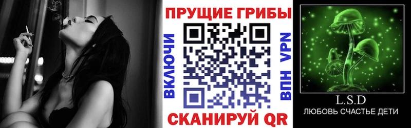 Псилоцибиновые грибы ЛСД  Купить  Судогда 
